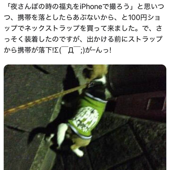 12bf0721 01fb 41da 8d16 ae0f5276c7dd 1733620011736