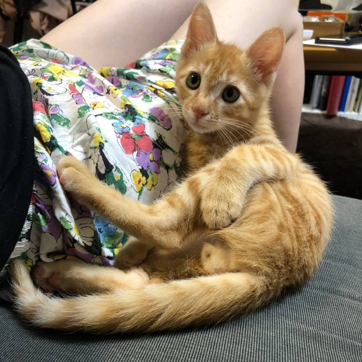 12bf223b 3878 4a97 b98c 7e8f915557bd 1564702371068