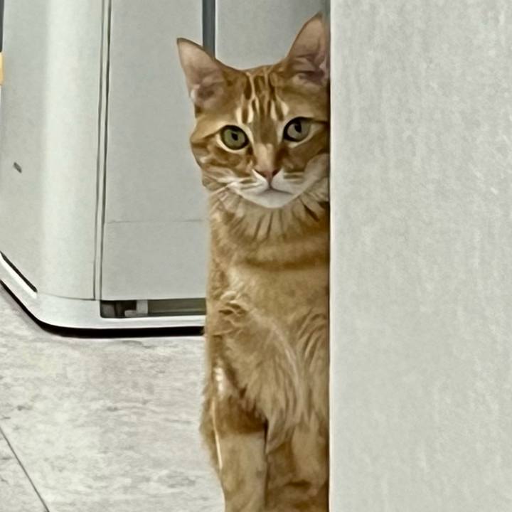 12bf7fee 2962 4000 9f6b 48ee80f294e0 1683111762412