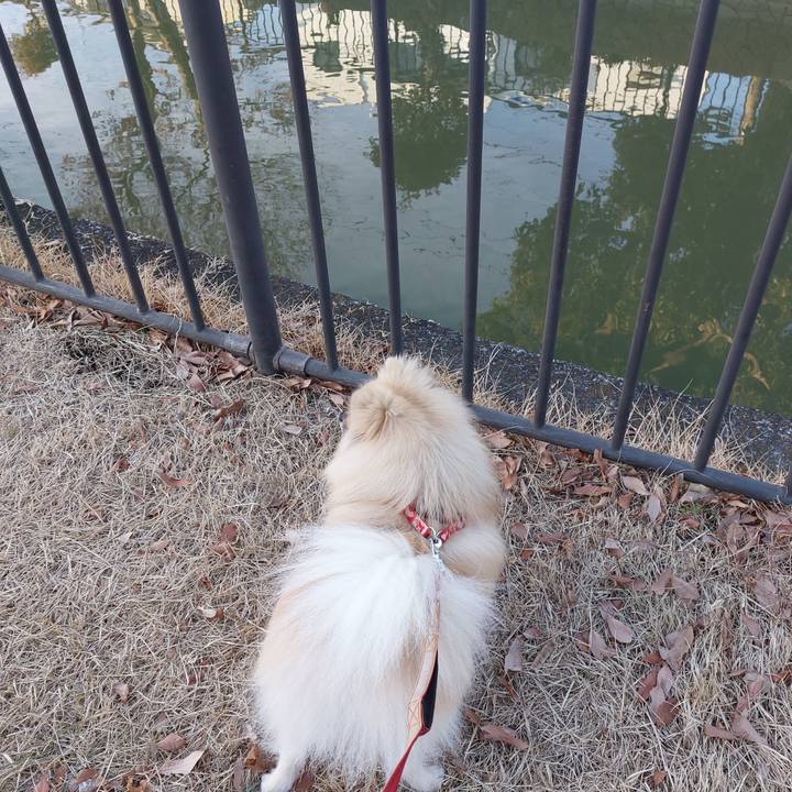 12bfbd15 cee2 4da7 ba95 2b8ffdd771b2 1674445692176