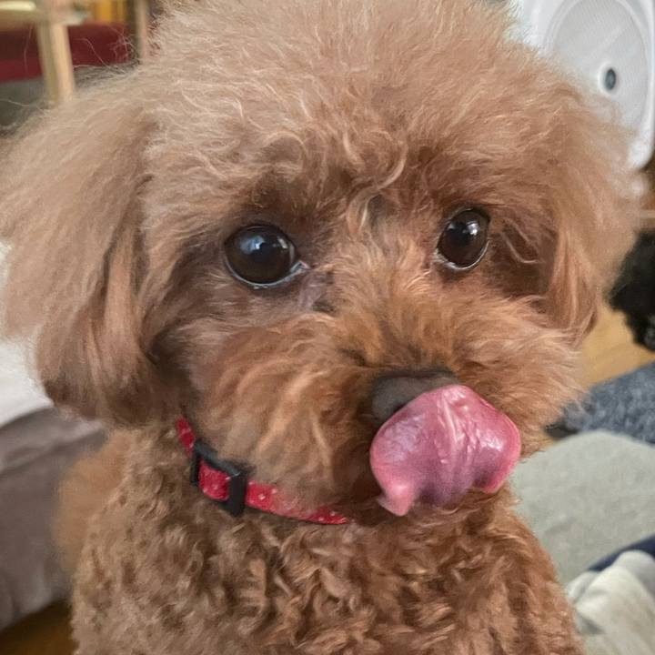 12bfd2eb a801 4df6 84bb e063ad5f9a81 1618571467468