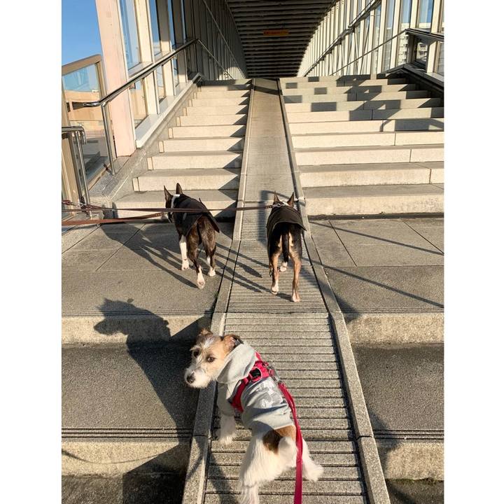 12bffdec 56f7 4620 b8d0 fd77c0ff4947 1580631999194