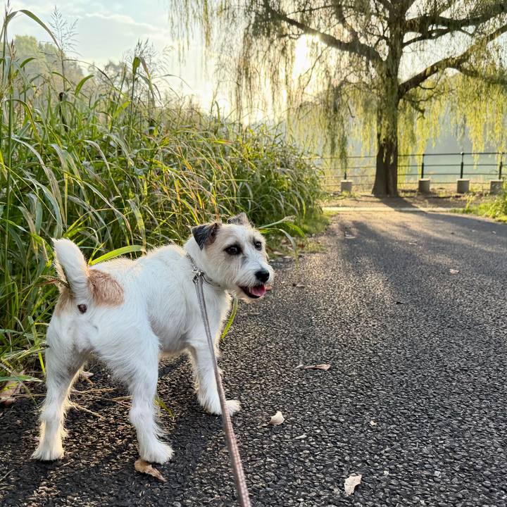 12c0472f ff40 44e8 87c8 e20a4d334cee 1761916276490