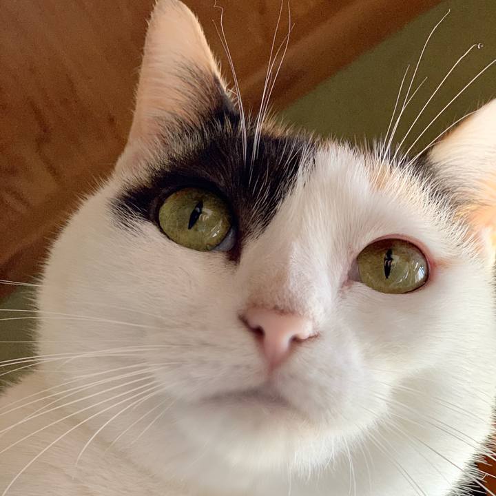 12c05eea b7bd 44aa b2cf 7694e40d00b5 1540260859670