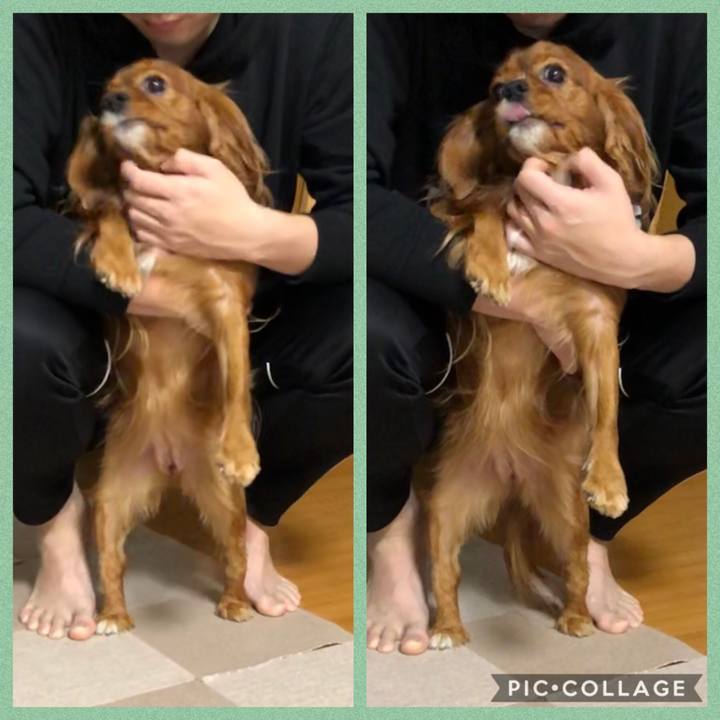 12c06100 49c9 4b70 bf82 95f7e4df30a4 1579695113812