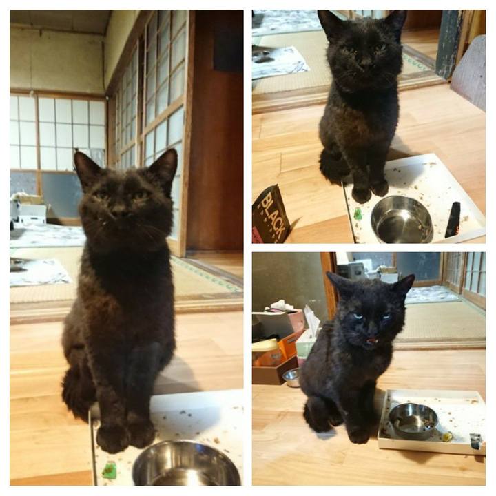 12c0ae0d 382d 41fa a17d 9eacd12ca49c 1623062733426