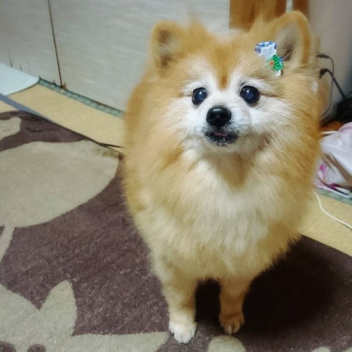 12c0fe7c 6196 4a8a b26a 9dcb25cb781f 1551183597758