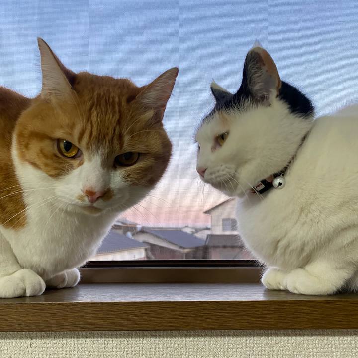 12c1083a f658 4f22 8b92 47093c611997 1646305831492