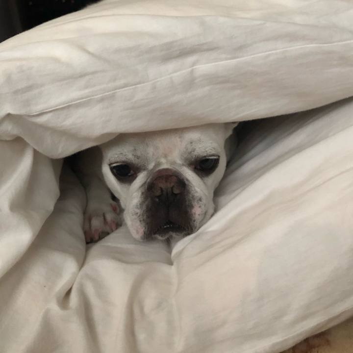 12c11ee3 4077 4586 9a96 374241644edb 1626345540408