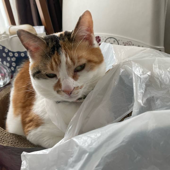 12c153b9 d57c 41ec 8319 94c4f1c07d78 1713673037596