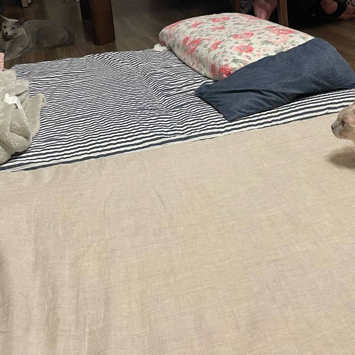 12c15a4f ee1d 4496 84c7 13de98724ee0 1738068973520