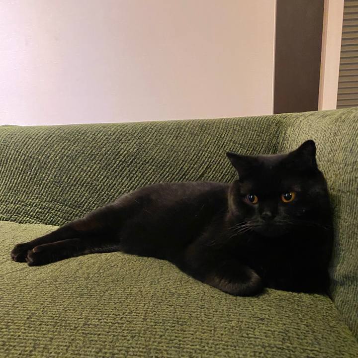 12c16c8e ee9f 4815 887d ba75281cc27b 1618139747875