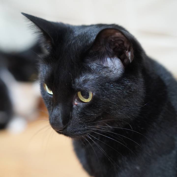 12c1d2ad e5f7 4a55 9858 60044f22f63d 1618495581154