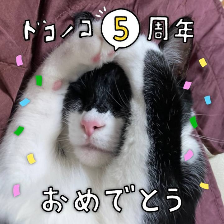 12c1dc5c 84e9 4172 abdc b536b9d0f792 1622860169594