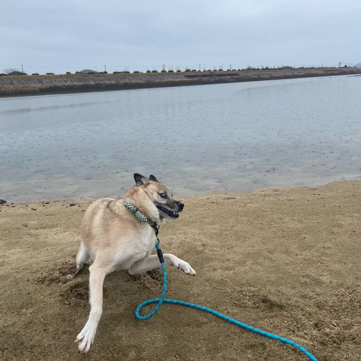 12c1e836 24ce 4717 bf9f 3149d8b932ef 1705746035063