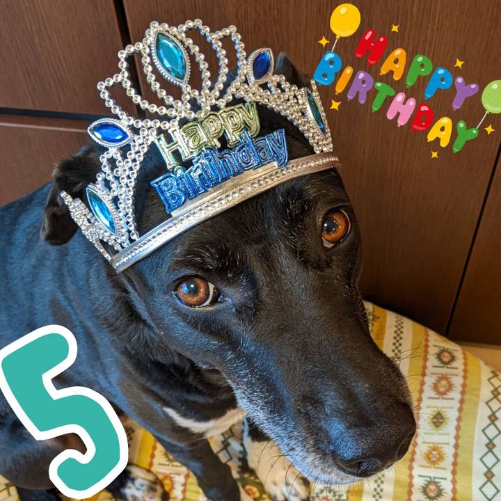 12c1fd91 885a 4b68 95e1 3c0e85315060 1680301505204