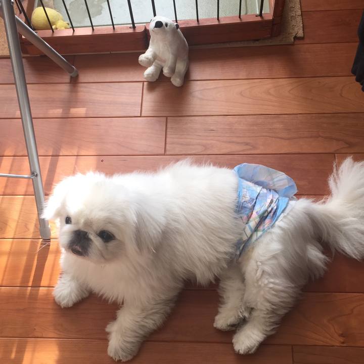 12c1ff9f 5da9 4d19 9691 1279889685cb 1511701987991