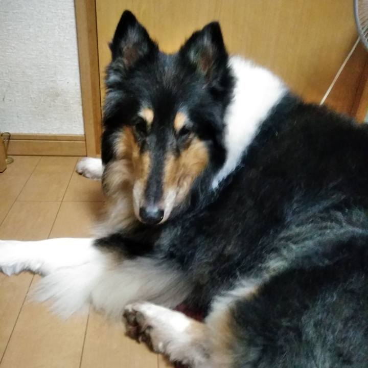 12c25150 4275 44ca b778 005baaacae50 1540908222815