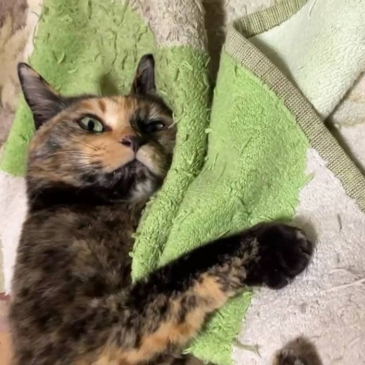 12c26345 ce45 4e01 af70 bc896b6ea773 1739566223071