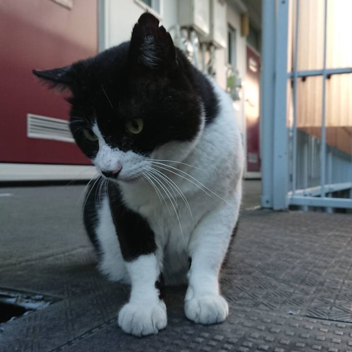 12c2b627 6183 4f00 a21f 596746f902c4 1531571553081