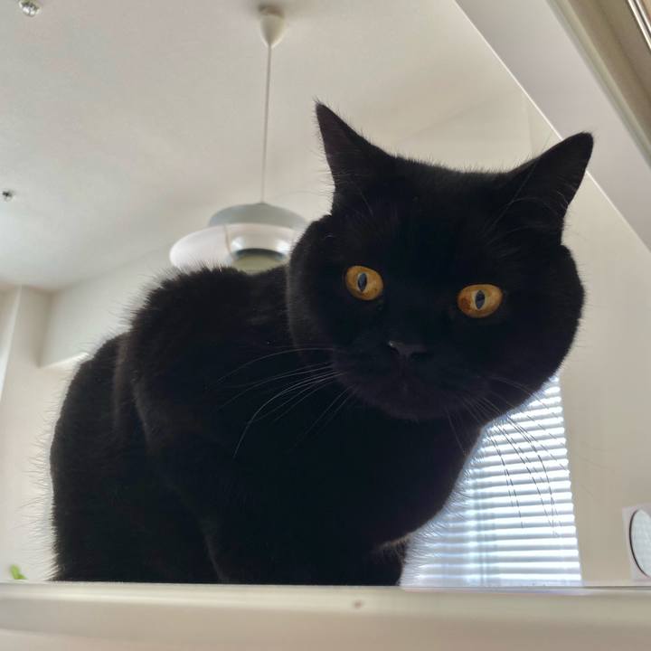 12c2c7d5 ebc7 4463 831d bf2036fdba57 1680069047680