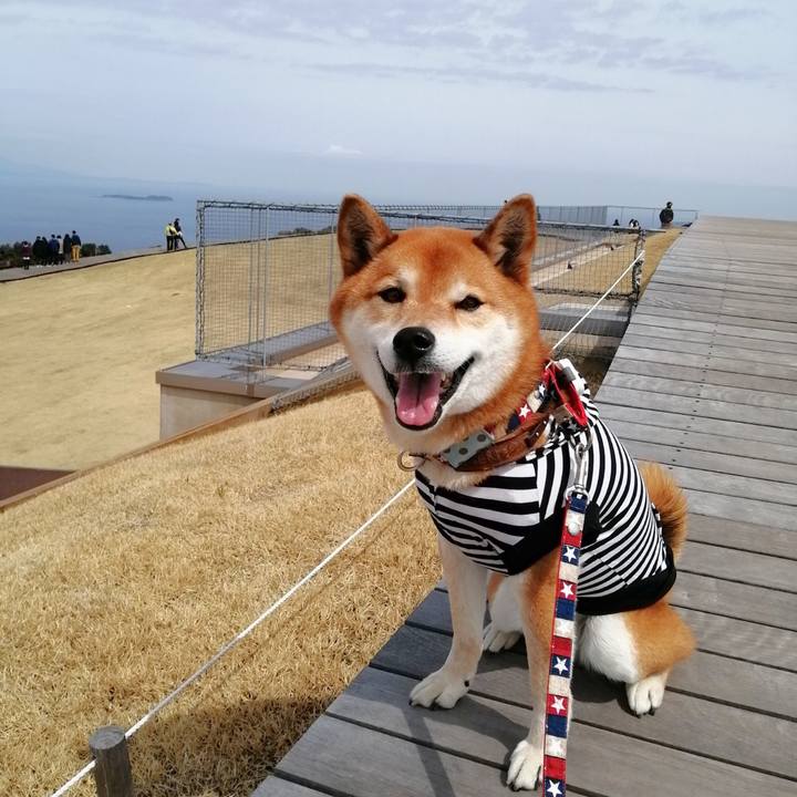 12c2e3f7 ec19 4e1d bae9 c32b692ee164 1647906902681