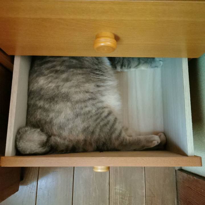 12c2e8d4 9b2f 4ac3 b2a4 82f2cd7d8f4d 1665634025612