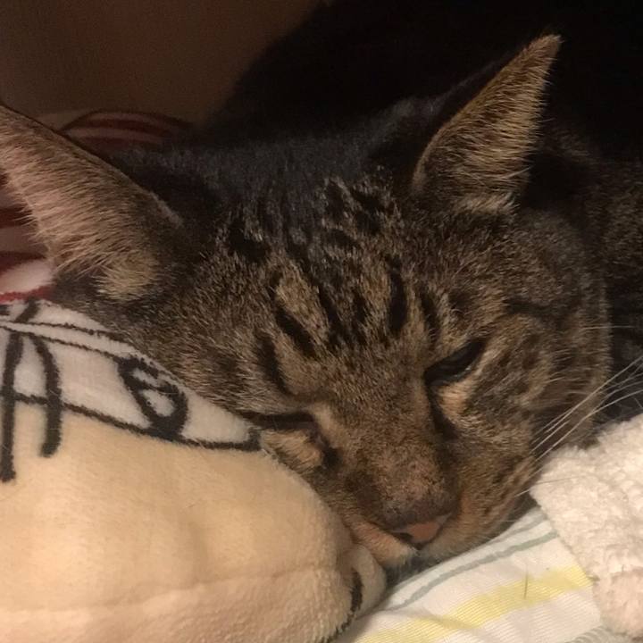 12c2f4bb b215 4d8b 80f4 0992cf1f5930 1667706005503