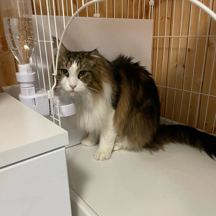 12c3000f de11 467b b573 6e4d7e3a12ee 1680552237780