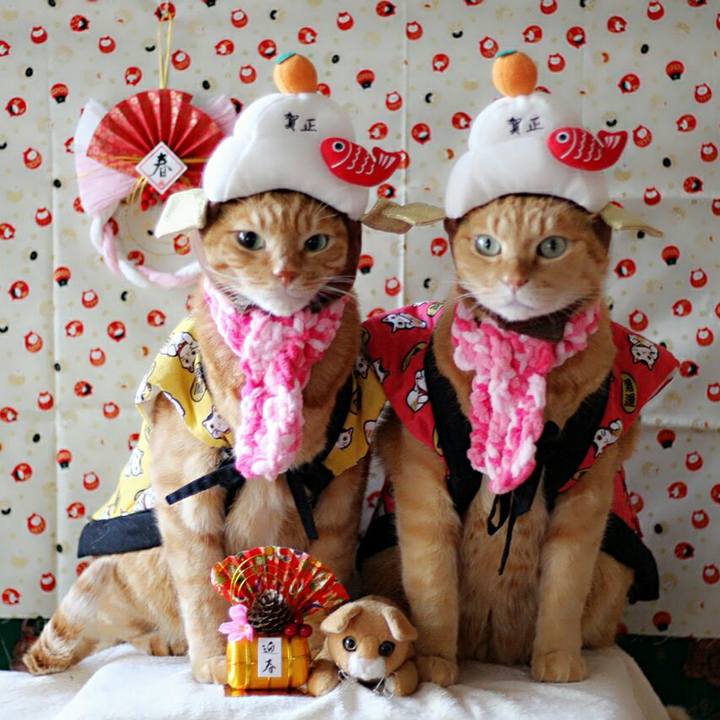 12c33878 0391 4681 a710 8a103a3f843b 1514735579301