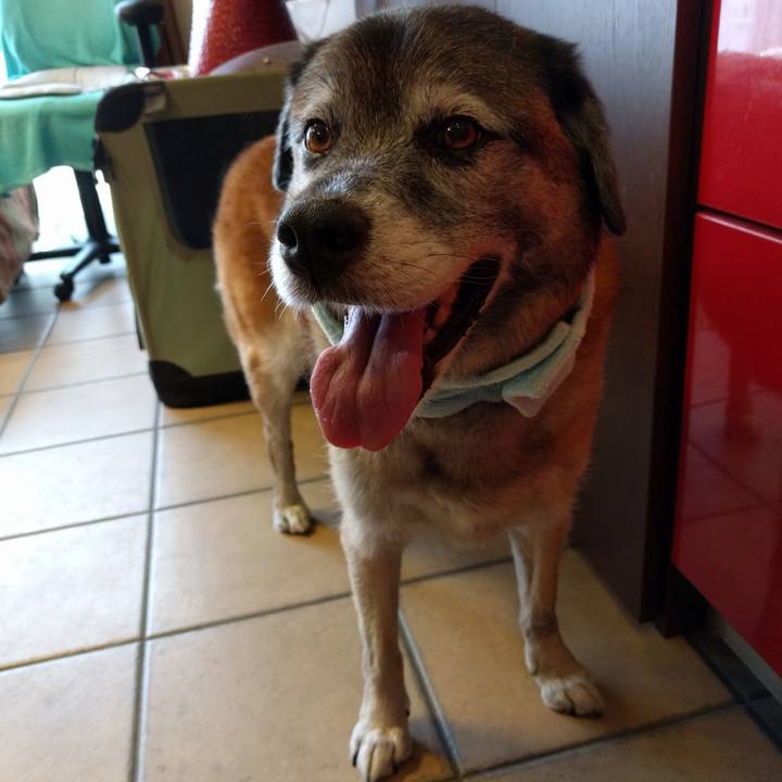 12c3afb3 83ca 4af2 937b a3fbe009f905 1531698782337