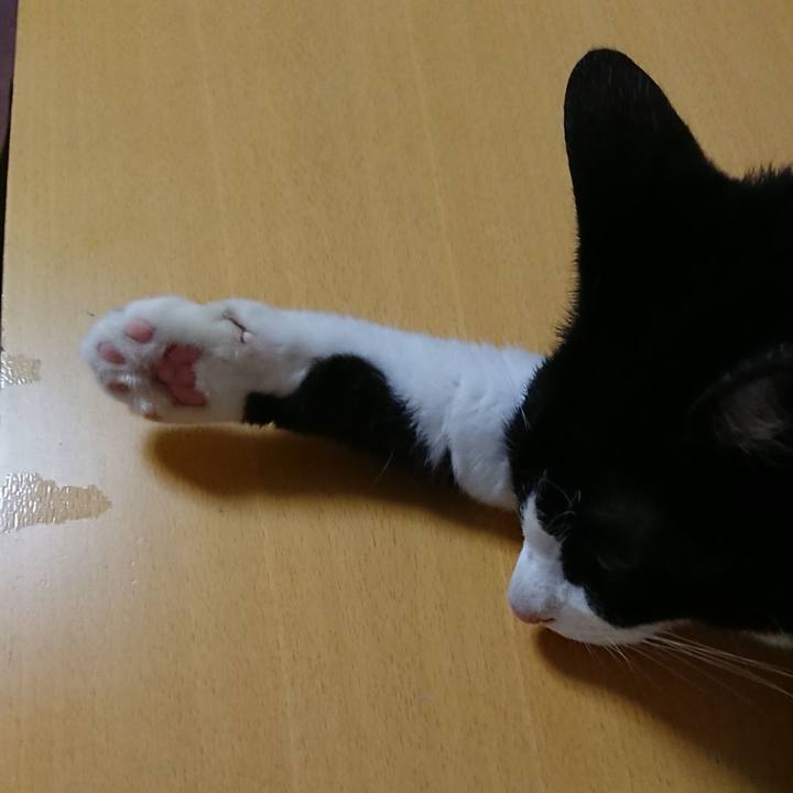 12c3f4ba ddf9 4cae 9f20 17c0f2a31748 1630715905826