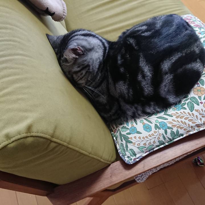 12c40400 8dda 4be2 a16d cc361543c9dc 1595575708291