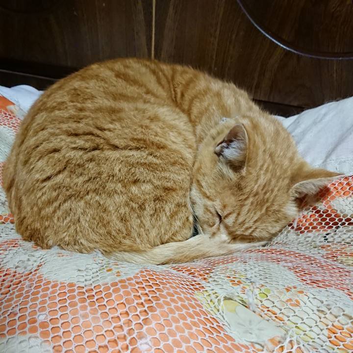 12c40673 e692 44b6 8625 77412c030187 1586434496342