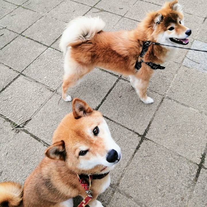 12c41095 ad6b 4590 a0f0 91e211b1bfe2 1592964019574