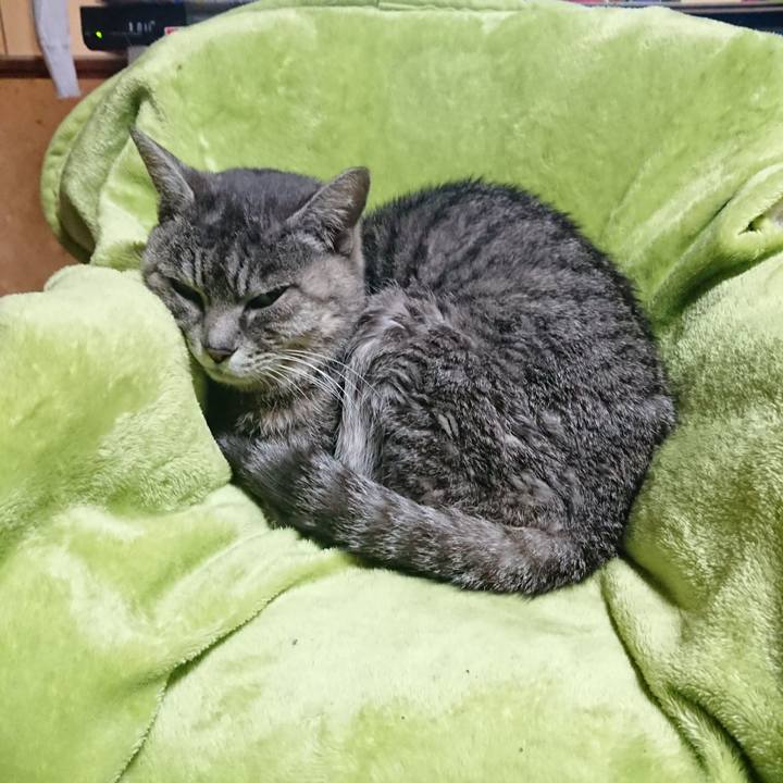 12c41bc4 0a37 463c 9381 ade3194d746a 1582800050160