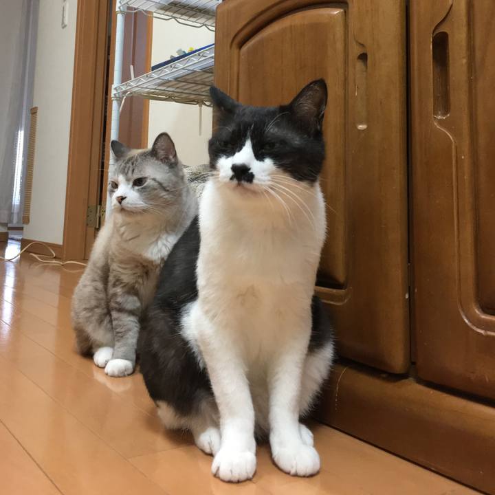 12c43462 12b6 48dd 9322 28445211a780 1583804548271