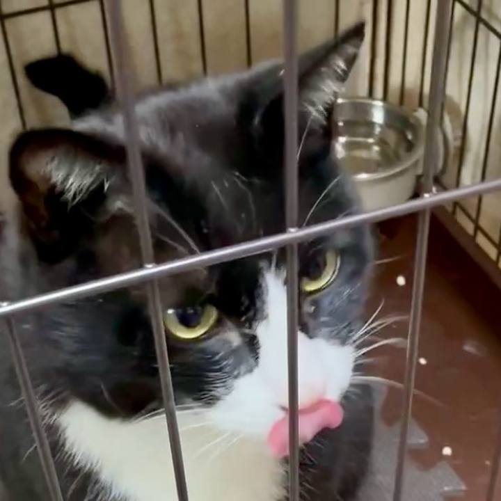 12c43f8d b8fc 4674 840f e3b3a1c45299 1746928700402