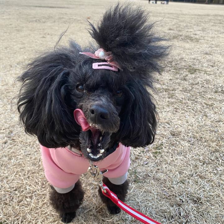 12c44b83 be2f 4091 b099 29bf93563c3b 1645080330717