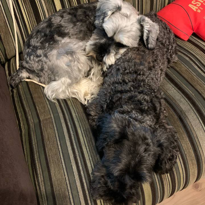 12c458bf 6151 4e46 bcc1 cc153df7c07a 1601076247763