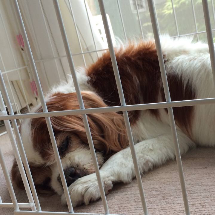 12c467ed 3e5d 4147 9456 977d7efd8ce7 1562797445551