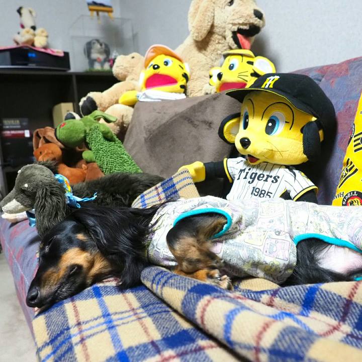 12c47132 4a3b 46a8 b2bd 9e688059fbd8 1568808504874