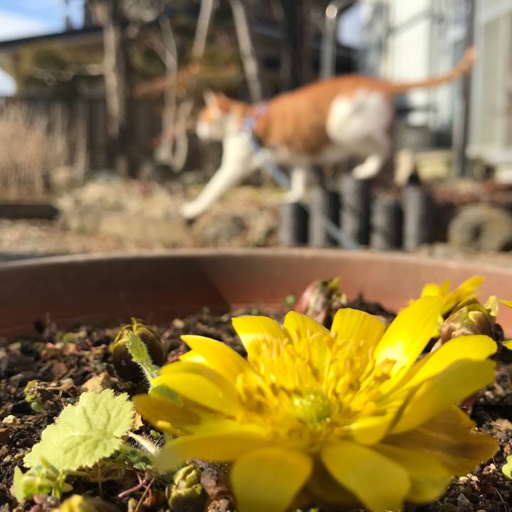 12c48972 8e94 462e b5f6 c916dba68dd6 1516418383124