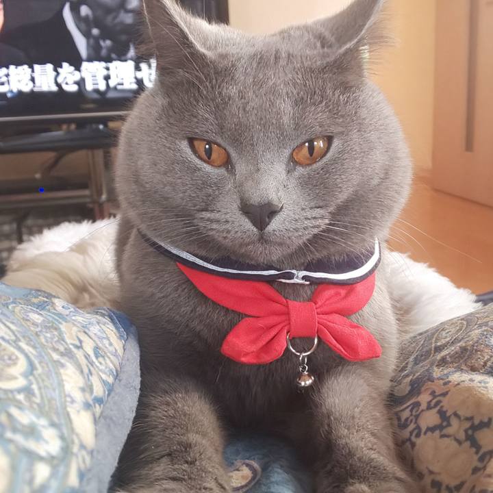 12c49da3 061d 4842 8f00 da94216c0532 1542517049112