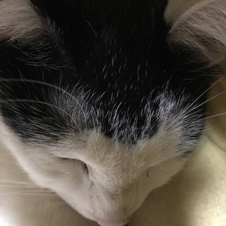 12c52872 0e6f 4a8e a131 3df8f7cb890d 1522675363935