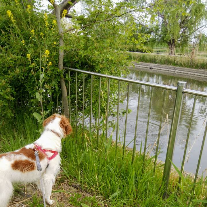 12c53f5b 9268 4f1b 95f9 12e4d93280fd 1555891712765