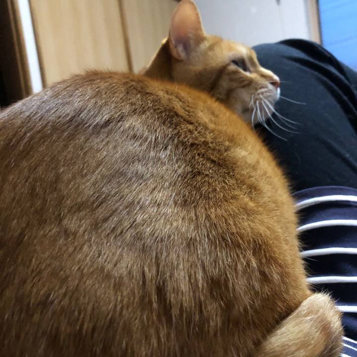 12c5506d d32a 4a72 ab61 ff5a5cb21d8e 1713605683460