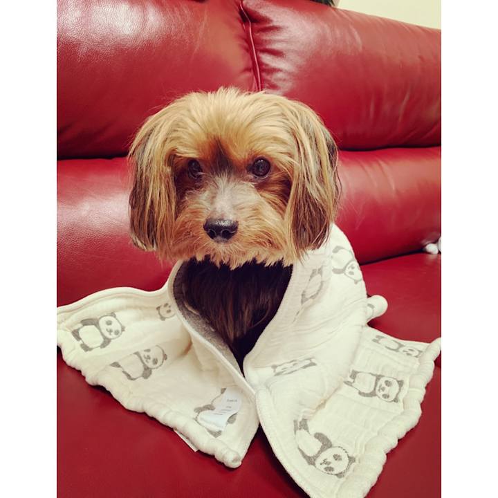 12c569c4 de1e 4aee acc2 ae9c39612954 1563161212574