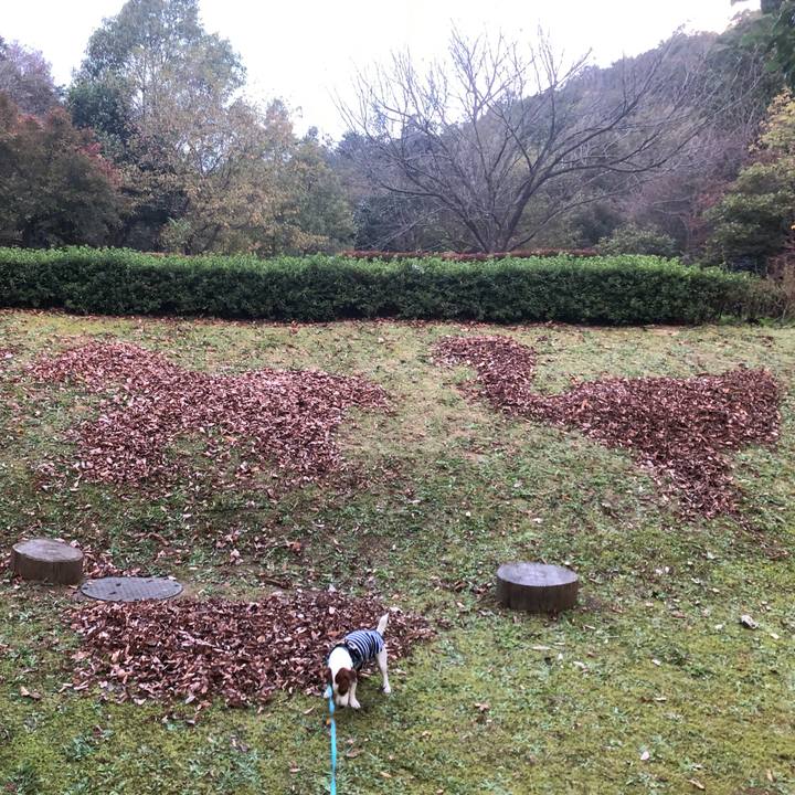 12c580ed 9e70 436c 8d5d e772fd60bdc0 1573464167673