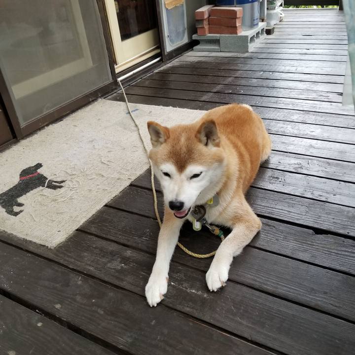 12c5d616 b0f2 4579 95b5 6b67db62aef7 1661232911629